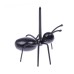 Ant Shaped Fruit Forks (12pcs)