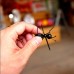 Ant Shaped Fruit Forks (12pcs)