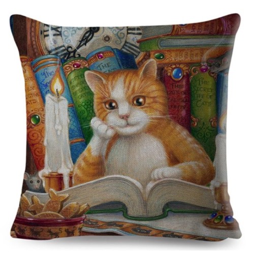 Cat & Books Pillow