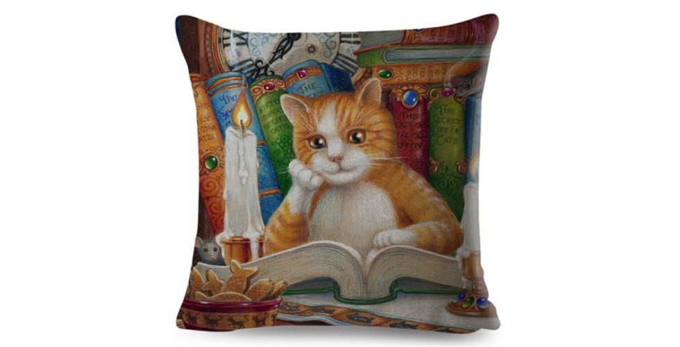 Cat & Books Pillow