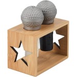 Microphone Salt & Pepper Shaker