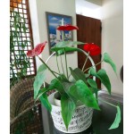 Metal flower pot embossed notes