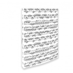 Ring Binder Notelines White A4/2 Rings/20 Mm