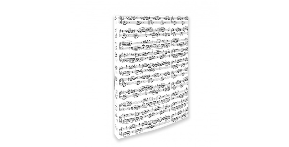 Ring Binder Notelines White A4/2 Rings/20 Mm