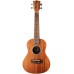 Concert Ukulele Pack – Bumblebee