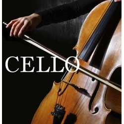 Violoncello Violoncello